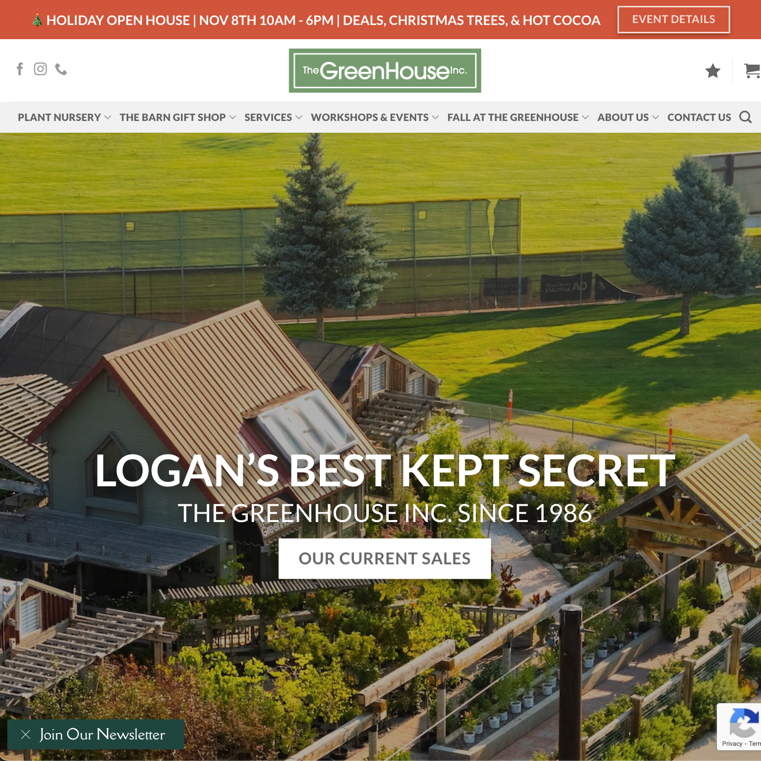 WordPress Web Design